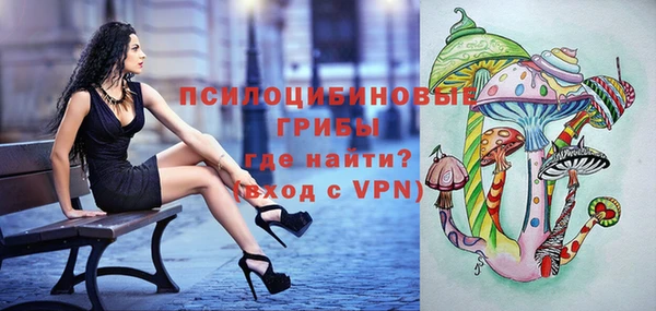 ALPHA PVP Каменногорск