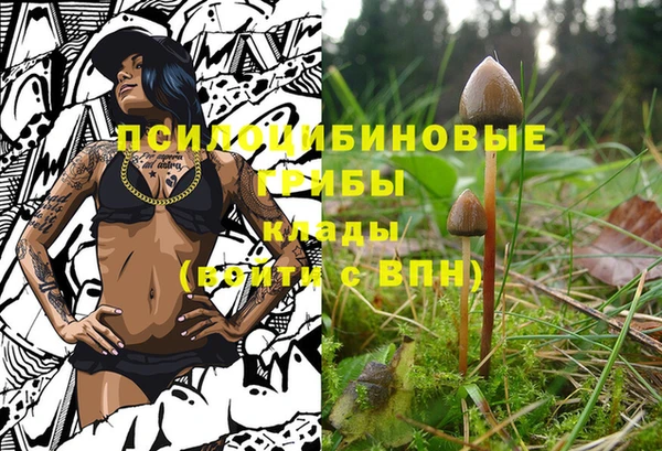 наркотики Инсар