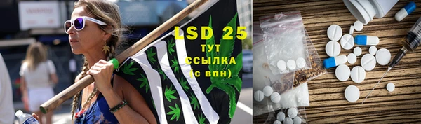 PSILOCYBIN Каменка