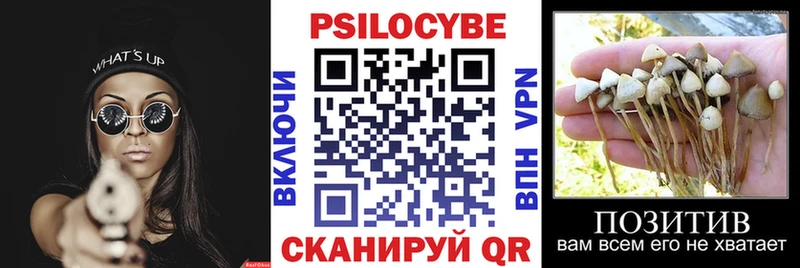 Псилоцибиновые грибы прущие грибы Усолье
