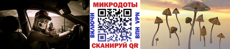 Псилоцибиновые грибы ЛСД  ссылка на мегу ТОР  Усолье 